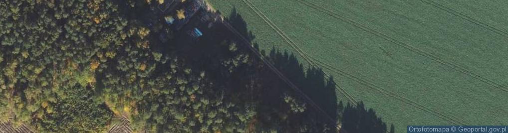 Zdjęcie satelitarne Leśna ul.