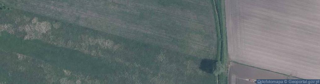 Zdjęcie satelitarne Letnia ul.