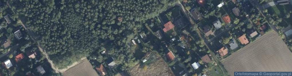 Zdjęcie satelitarne Leśna ul.