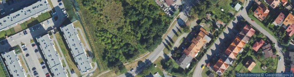 Zdjęcie satelitarne Łęczycka ul.