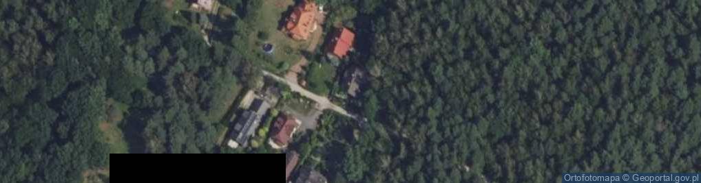 Zdjęcie satelitarne Leśna Polana ul.