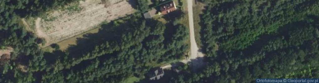 Zdjęcie satelitarne Leśna ul.