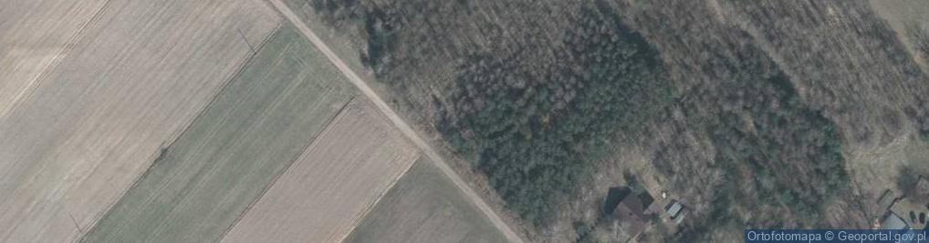 Zdjęcie satelitarne Leśna ul.