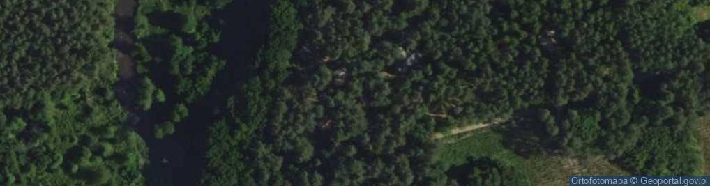 Zdjęcie satelitarne Leszczynowa ul.