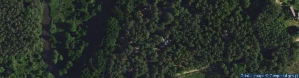 Zdjęcie satelitarne Leszczynowa ul.