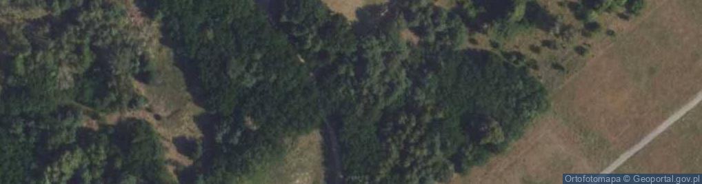 Zdjęcie satelitarne Leśna ul.