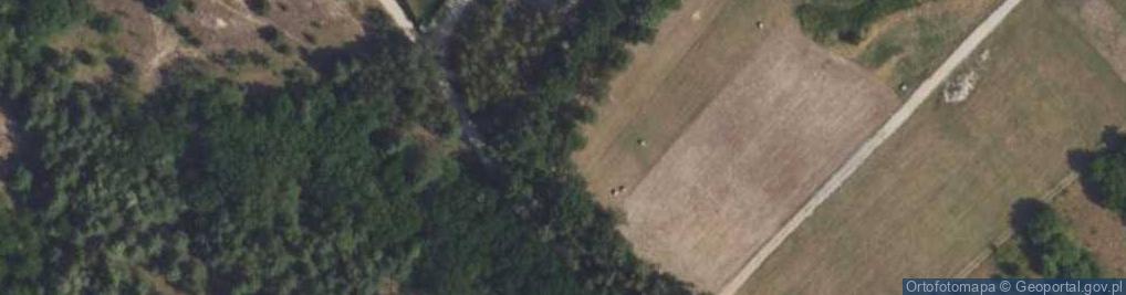 Zdjęcie satelitarne Leśna ul.