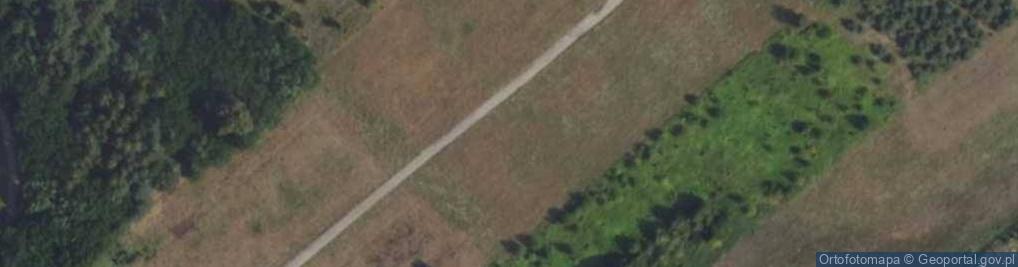 Zdjęcie satelitarne Leszczynowa ul.