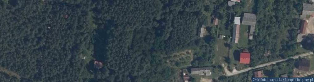 Zdjęcie satelitarne Leśna ul.