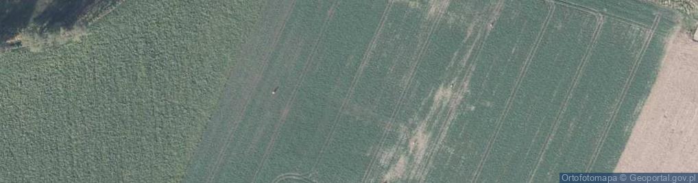 Zdjęcie satelitarne Letnia ul.