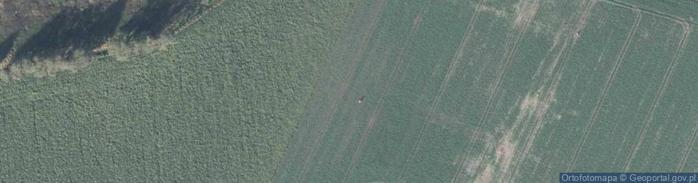 Zdjęcie satelitarne Letnia ul.