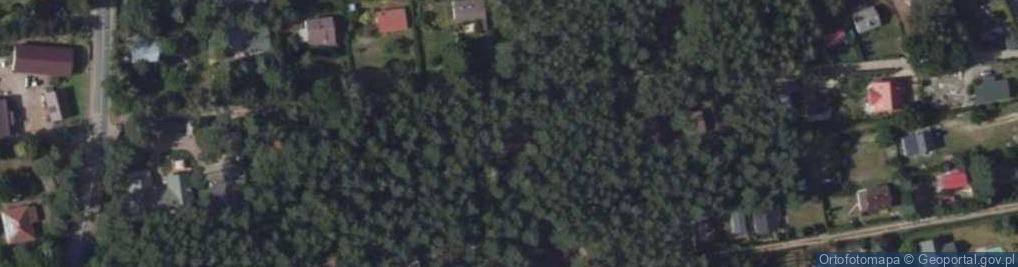 Zdjęcie satelitarne Leśna ul.