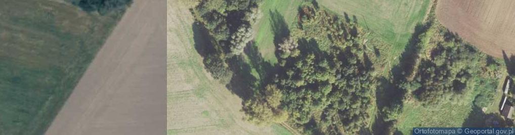 Zdjęcie satelitarne Łęczno ul.