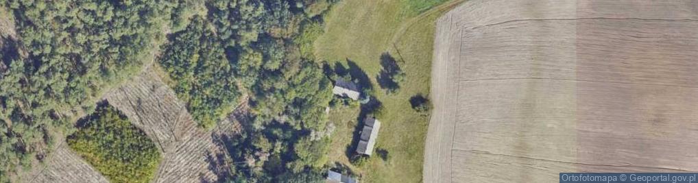 Zdjęcie satelitarne Łęg-Witoszyn ul.