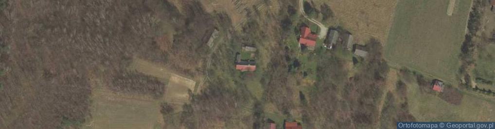 Zdjęcie satelitarne Leksandrowa ul.
