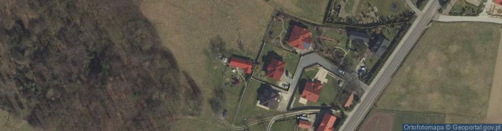 Zdjęcie satelitarne Leksandrowa ul.