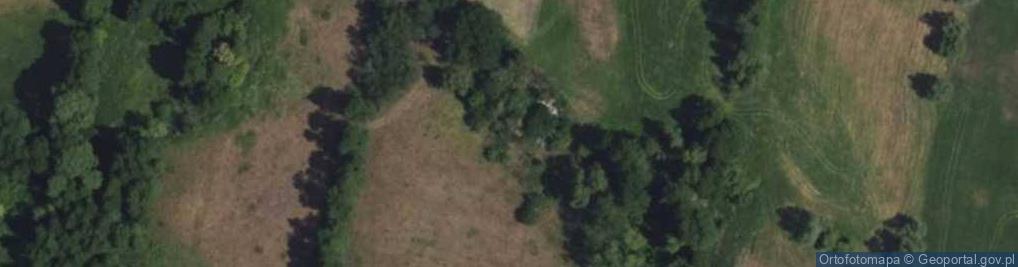 Zdjęcie satelitarne Leonów ul.