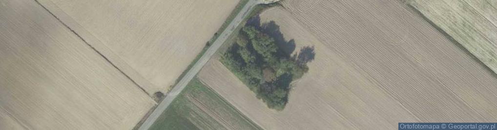 Zdjęcie satelitarne Leszczany-Kolonia ul.