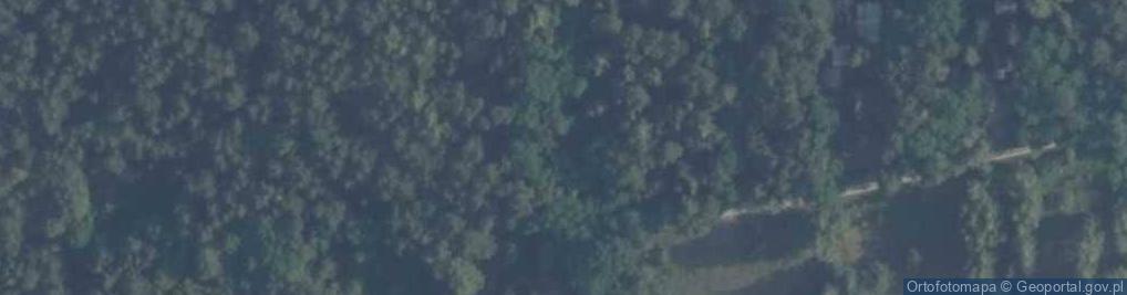 Zdjęcie satelitarne Letnisko Nowy Jadów ul.