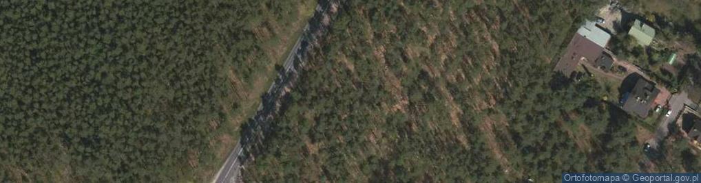 Zdjęcie satelitarne Leśnych Dębów ul.