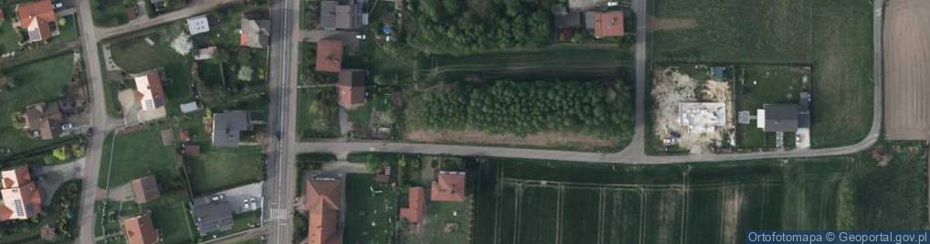 Zdjęcie satelitarne Leśna ul.