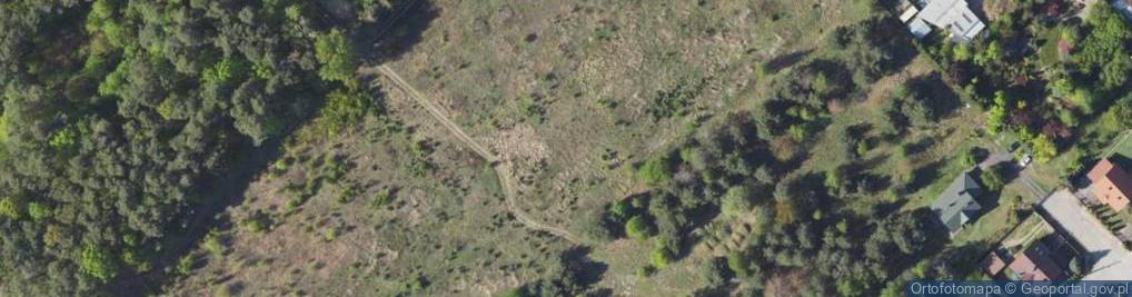 Zdjęcie satelitarne Leśna ul.