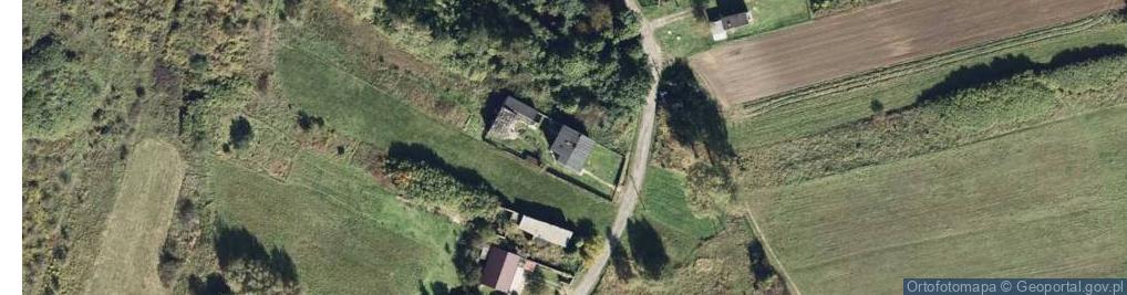 Zdjęcie satelitarne Leśna ul.