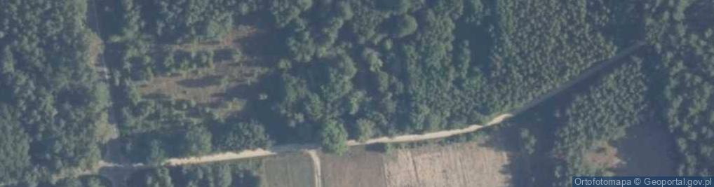 Zdjęcie satelitarne Leśna ul.