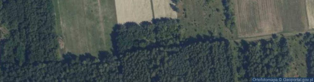 Zdjęcie satelitarne Leśna ul.