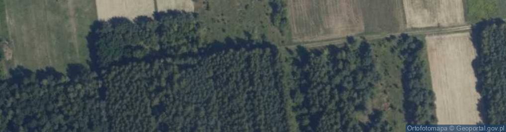 Zdjęcie satelitarne Leśna ul.