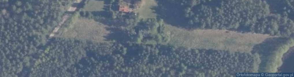 Zdjęcie satelitarne Leśna ul.