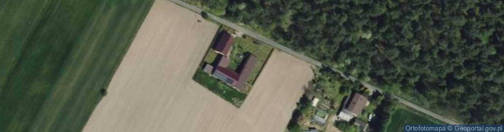 Zdjęcie satelitarne Leśna ul.