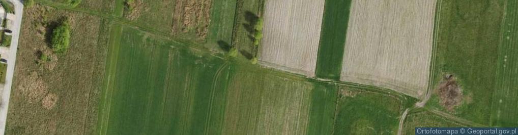 Zdjęcie satelitarne Leszczynowa ul.