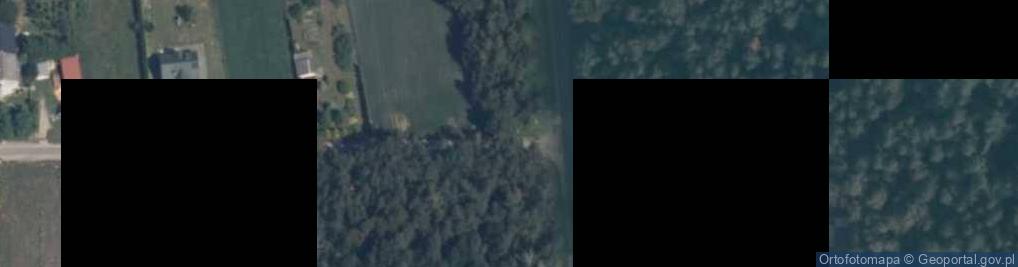 Zdjęcie satelitarne Leśna ul.