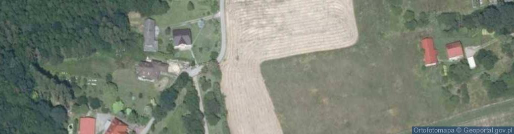 Zdjęcie satelitarne Leśna ul.