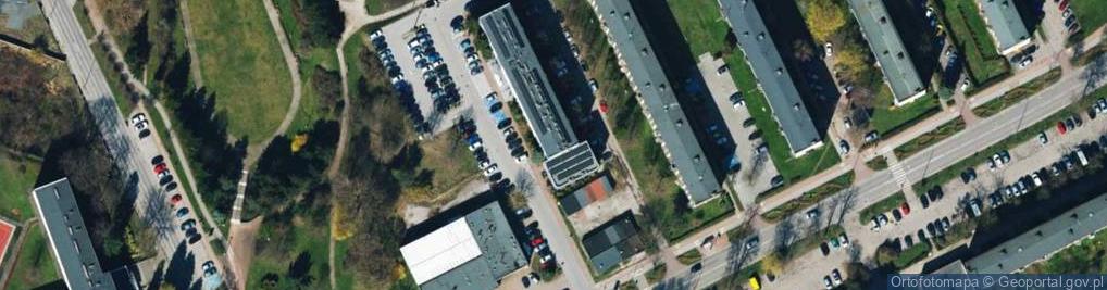 Zdjęcie satelitarne Leszka Czarnego ul.