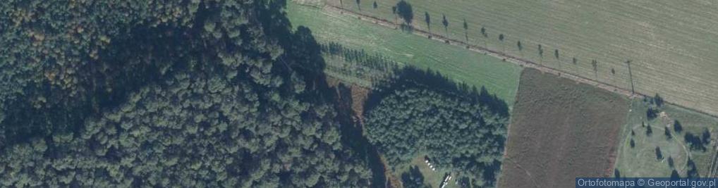 Zdjęcie satelitarne Leśna ul.