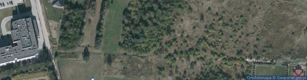 Zdjęcie satelitarne Leśna ul.