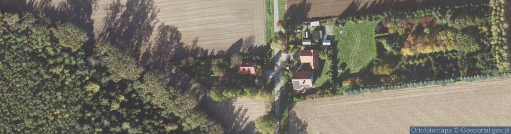 Zdjęcie satelitarne Leśna ul.