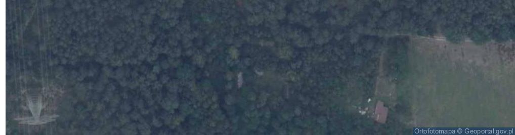 Zdjęcie satelitarne Leśna ul.