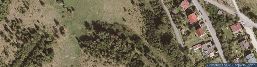 Zdjęcie satelitarne Leśna ul.