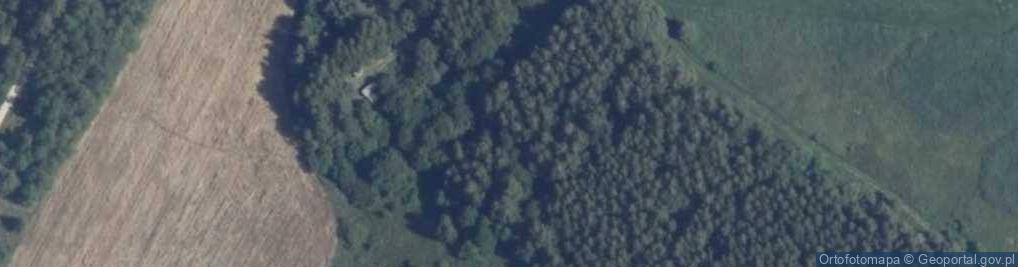 Zdjęcie satelitarne Legionów ul.