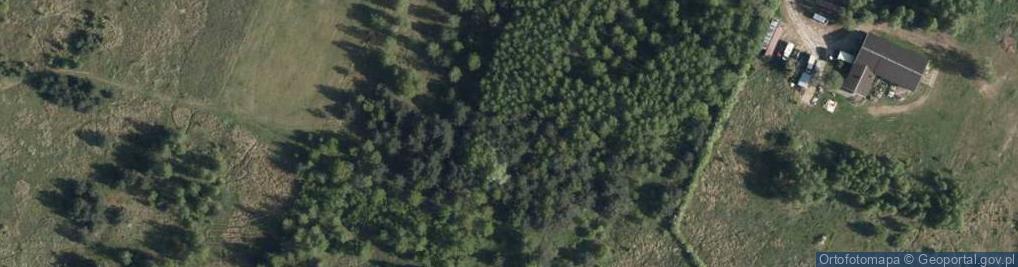 Zdjęcie satelitarne Leśny Zakątek ul.