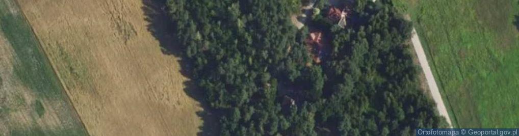 Zdjęcie satelitarne Leśnych Ptaków ul.