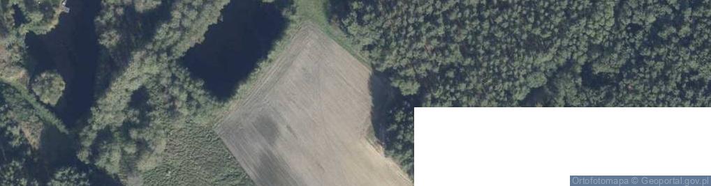 Zdjęcie satelitarne Lgińska ul.