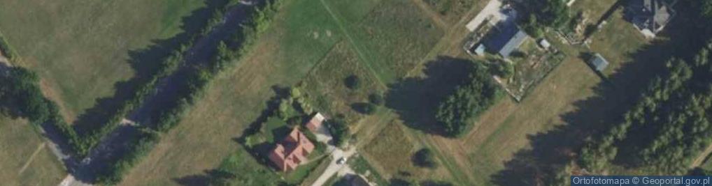 Zdjęcie satelitarne Lisia ul.