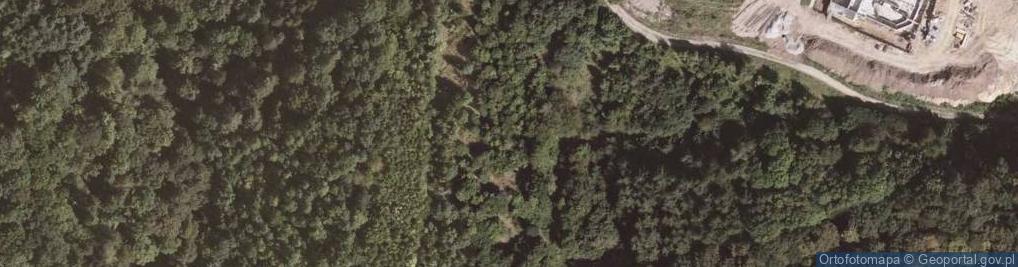 Zdjęcie satelitarne Lipowa ul.