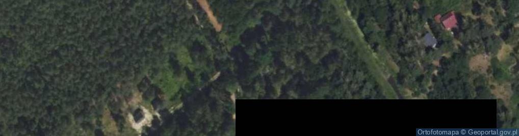 Zdjęcie satelitarne Lipowa ul.