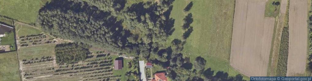 Zdjęcie satelitarne Lipowa ul.