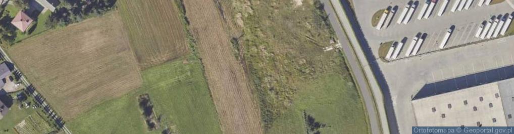 Zdjęcie satelitarne Lisia ul.